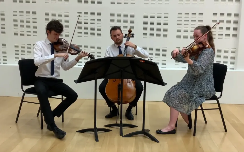 Egerton Strings String Trio.