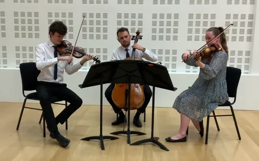 Egerton Strings string trio.