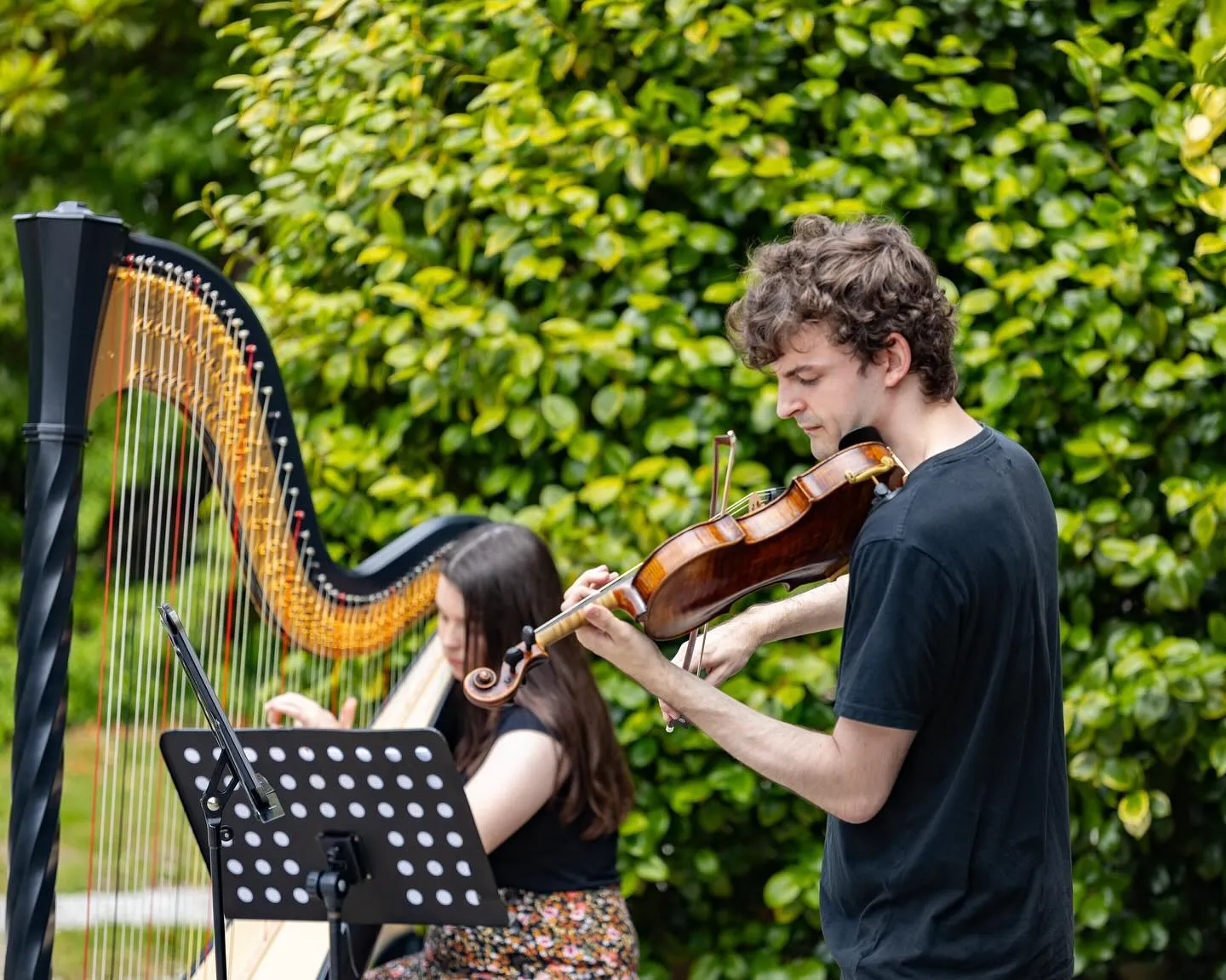 Egerton Strings Violin and Harp Duo.