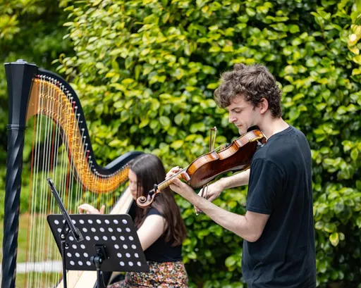 Egerton Strings violin and harp duo.